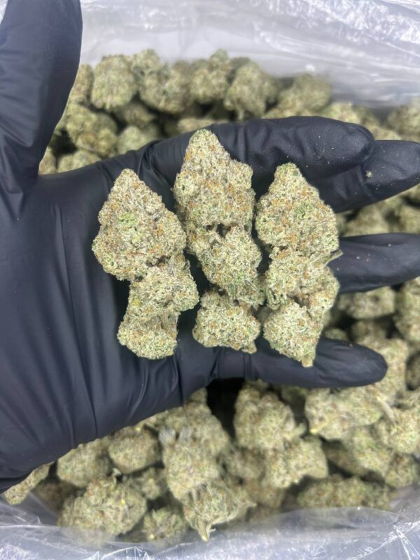 snowman runtz strain