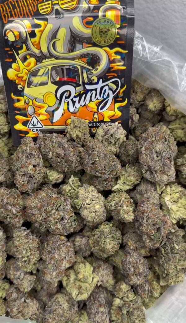 Krypto kandy x Octopus runtz strain