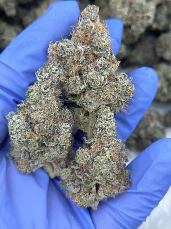 Cosmic Runtz Strain for sale