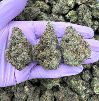 Pluto Runtz strain for sale. 