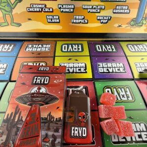 Fryd Disposable 3 Gram (WITH GUMMIES) 2 photo 2025 09 18 03 28 40